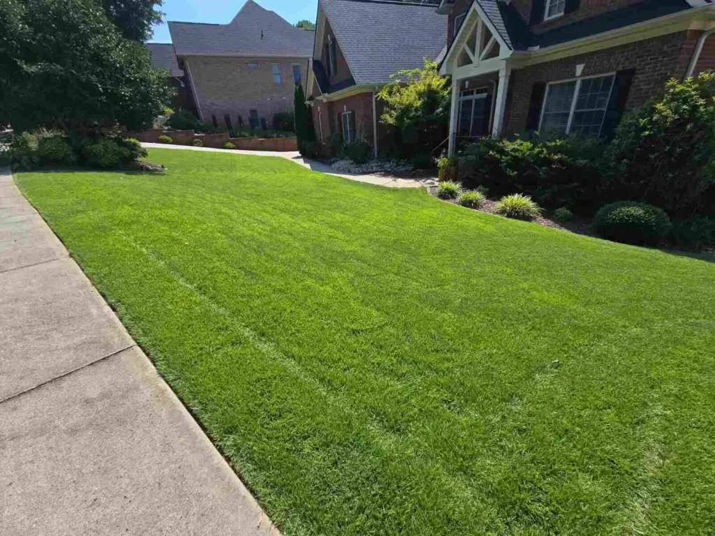Long strip of bright green grass along a sidewalk neatly cut by Jason Yard Scaping.