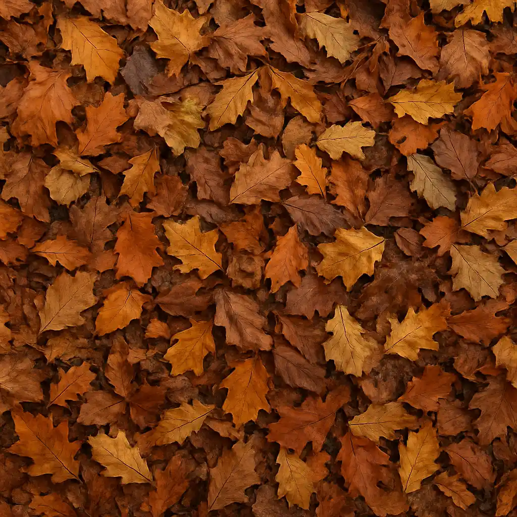 Close-up of orange fall leaves covering a yard before seasonal lawn cleanup in Greenville, SC
